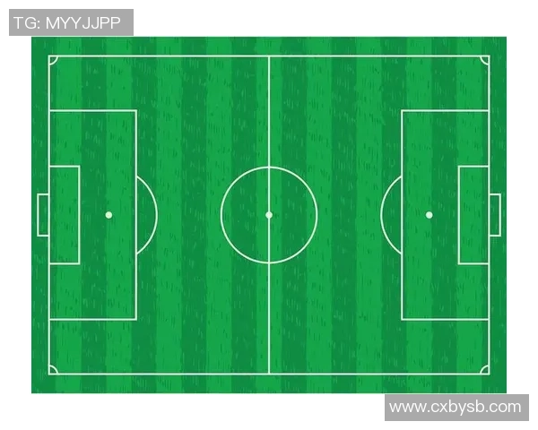 北京足球队区域防守体系解析与战术应用研究 北京足球队区域防守体系解析与战术应用研究