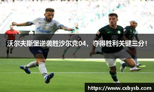 沃尔夫斯堡逆袭胜沙尔克04，夺得胜利关键三分！
