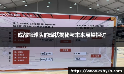 成都篮球队的现状揭秘与未来展望探讨